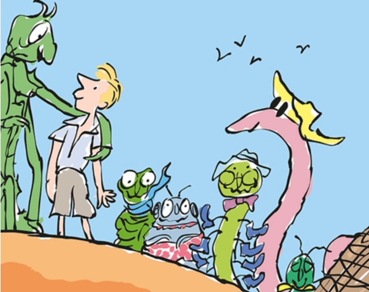 Roald Dahl Festival Stay In Groningen